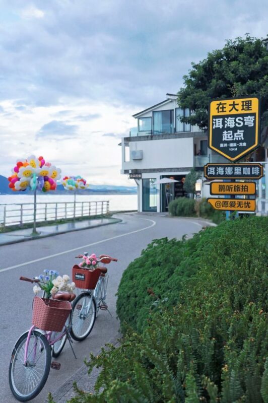 One-Day Tour Around Erhai Lake in Dali, Yunnan - Bai culture, tea and tie-dye