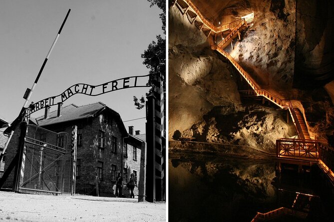 One Day Tour: Auschwitz Birkenau Wieliczka Salt Mine - Tour Overview