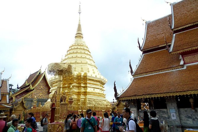 One Day Tour Doi Suthep Temple, Palad Temple, Orchid Farm, Longneck Hill Tribe Village (Private Tour - Traveler Reviews