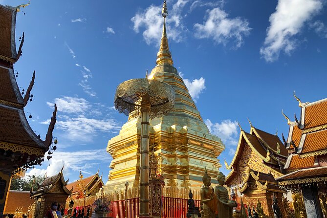 One Day Tour Doi Suthep Temple, Palad Temple, Orchid Farm, Longneck Hill Tribe Village (Private Tour - Directions