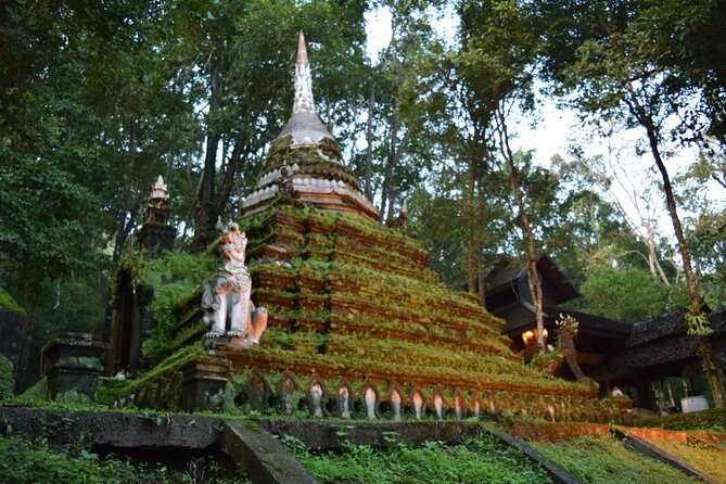 One Day Tour Doi Suthep Temple, Palad Temple, Orchid Farm, Longneck Hill Tribe Village (Private Tour - The Sum Up