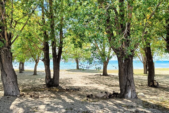 One-Day Tour From Bishkek to Issyk-Kul Lake - Frequently Asked Questions