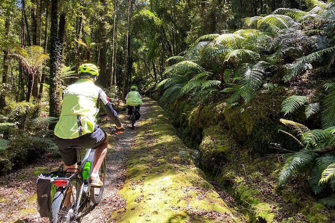One Day Tour from Hokitika on Wilderness Trail by eBike - Good To Know