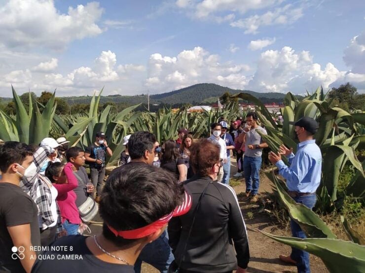 One Day Tour From Mexico City to Firefly Sanctuary - Itinerary Highlights