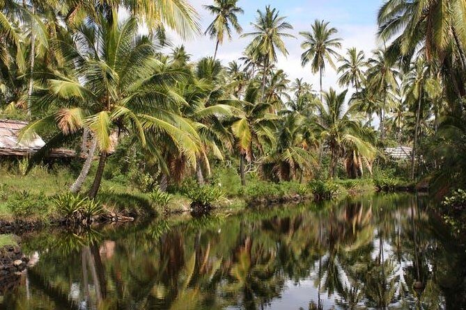 One-Day Tour Hawaii Movie Tour: Island Hopping from Oahu to Kauai - The Itinerary Breakdown: What You Can Expect