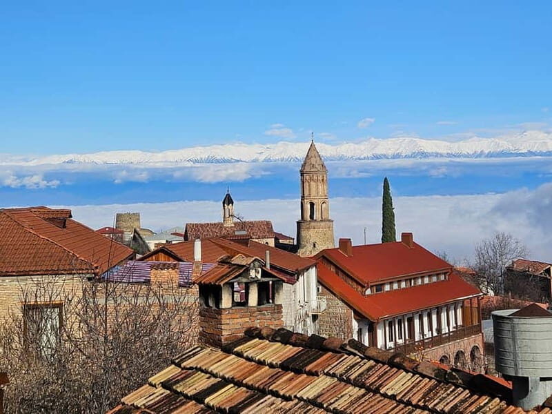 One-day tour in Kakheti with a guide and free wine tasting - The Full Experience: What to Expect from the Tour