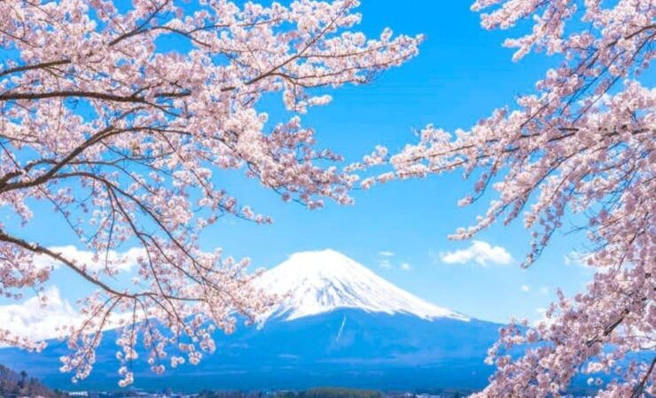 One Day Tour in Mount Fuji and Oishi Park With Fruit Picking - Itinerary Highlights
