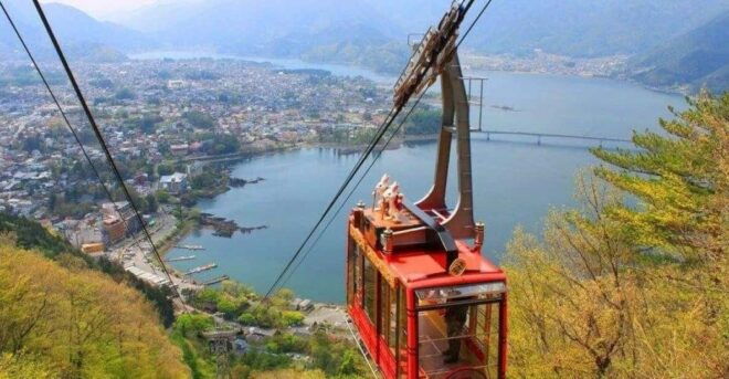 One Day Tour in Mount Fuji and Oishi Park With Fruit Picking - Experience and Activities