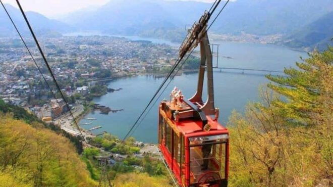 One Day Tour in Mount Fuji and Oishi Park With Fruit Picking - Oishi Park Exploration