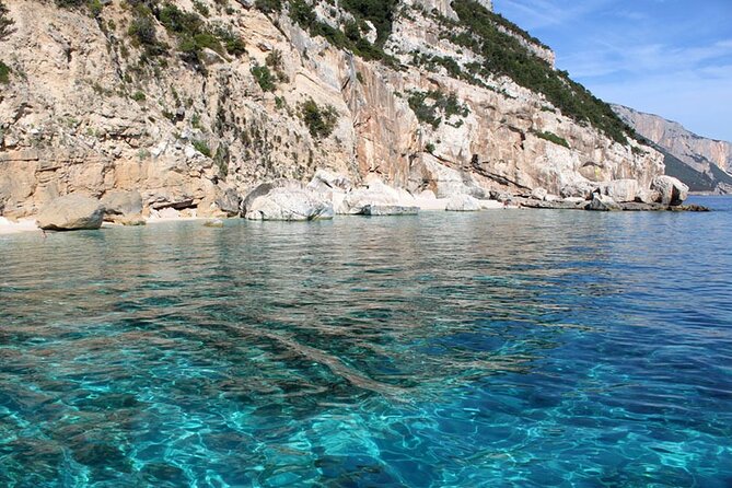 One Day Tour in Rubber Dinghy in the Gulf of Orosei With Skipper - The Sum Up