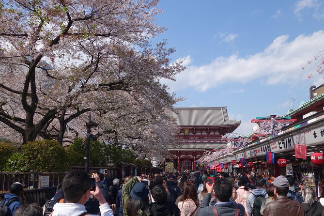 One Day Tour in Tokyo to Visit Major Tourist Spots by Learning Japanese Culture - Discovering Tokyos Vibrant Street Markets