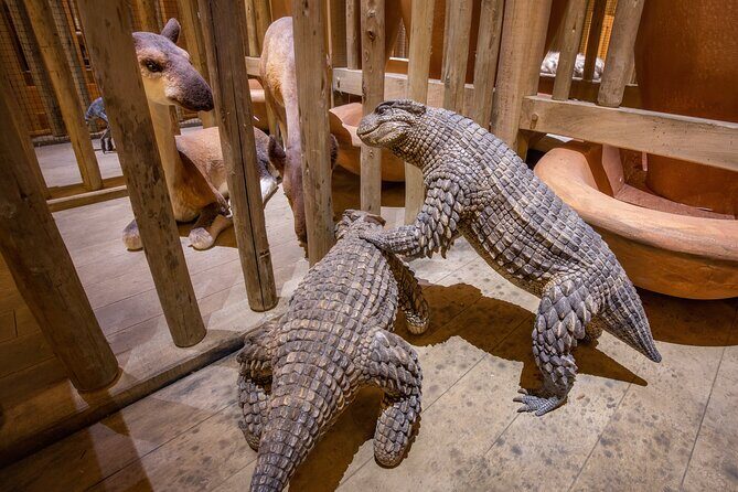 One Day Tour Nashville To Ark Encounter - What’s the Tour All About?