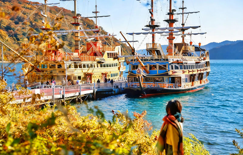 One-day tour of 6 attractions in Tokyo, Hakone, and Mount Fuji - At a glance