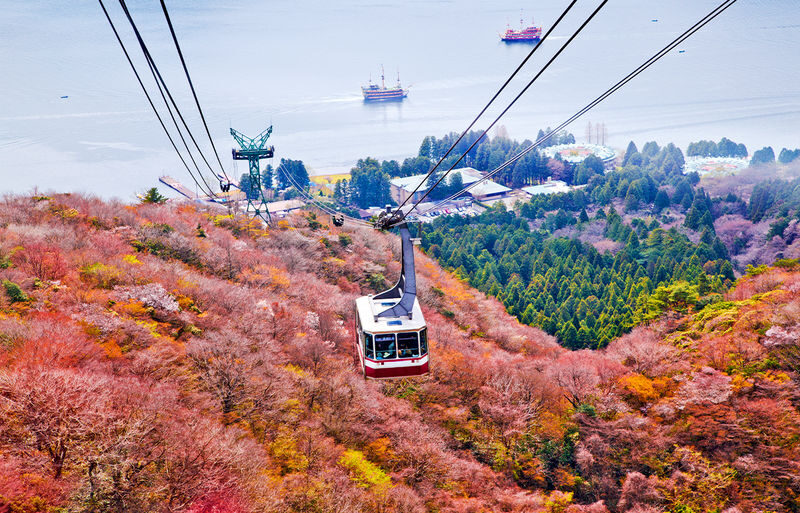 One-day tour of 6 attractions in Tokyo, Hakone, and Mount Fuji - The bus saves effort, but adds up