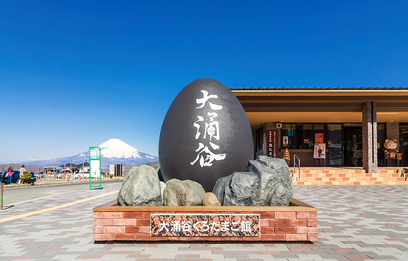 One-day tour of 6 attractions in Tokyo, Hakone, and Mount Fuji - Who will get the most from this trip