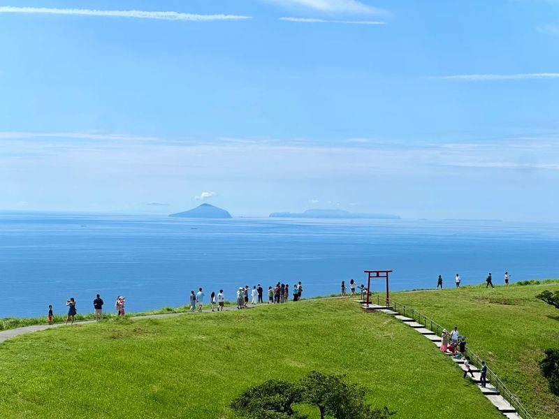 One-day tour of Atami Sunshine Beach Road, Kinusaki Coast, and Mount Omuro in Izu - Guide support and the day’s pace