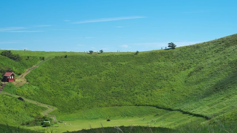 One-day tour of Atami Sunshine Beach Road, Kinusaki Coast, and Mount Omuro in Izu - Who should book this Izu day trip
