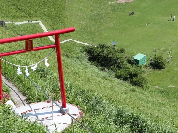 One-day tour of Atami Sunshine Beach Road, Kinusaki Coast, and Mount Omuro in Izu - Should you book it?