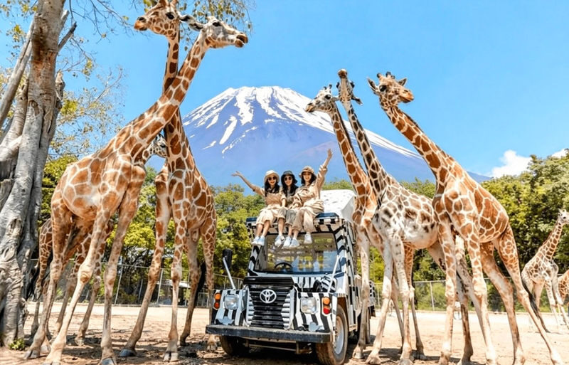 One-Day Tour of Fuji Safari Park, Oshino Hakkai, and Oishi Park - What matters most on this Fuji day tour