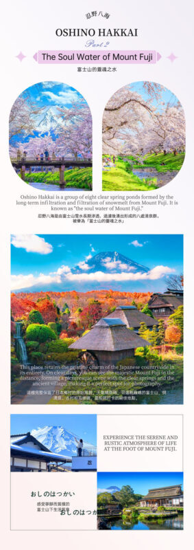 One-Day Tour of Fuji Safari Park, Oshino Hakkai, and Oishi Park - Oshino Hakkai: clear water and village lanes
