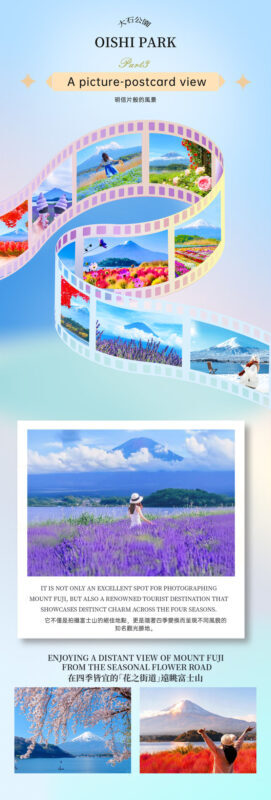 One-Day Tour of Fuji Safari Park, Oshino Hakkai, and Oishi Park - Oishi Park: a short lakeside finish