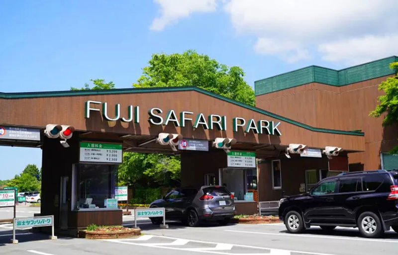 One-Day Tour of Fuji Safari Park, Oshino Hakkai, and Oishi Park - Who will enjoy this route most