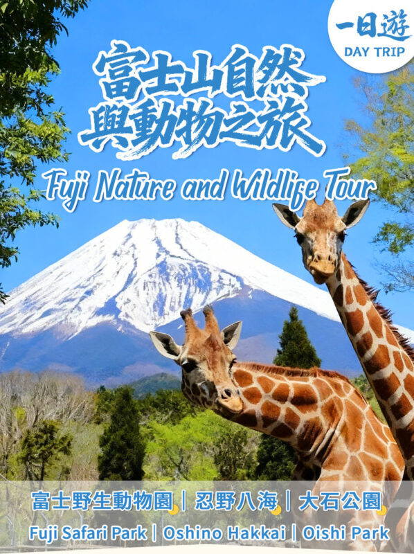 One-day tour of Fuji Safari Park, Oshino Hakkai, and Oishi Park - A day trip with three distinct sides of Mount Fuji