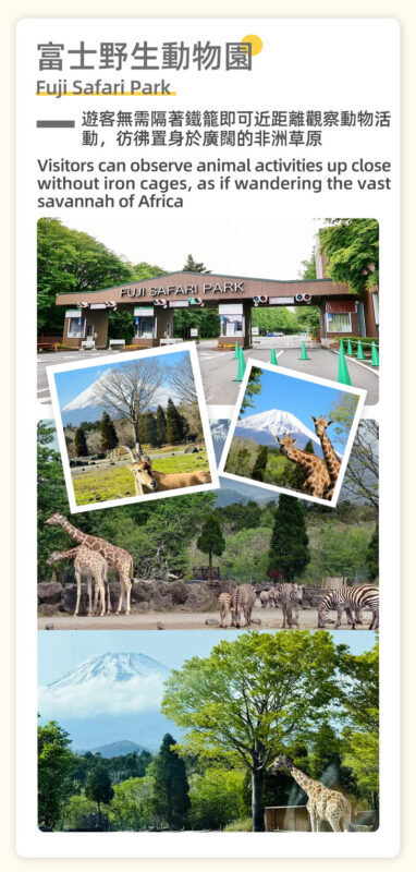One-day tour of Fuji Safari Park, Oshino Hakkai, and Oishi Park - What the schedule means in practice