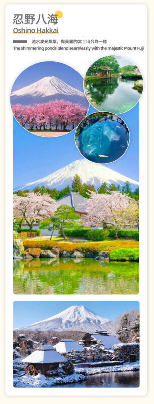 One-day tour of Fuji Safari Park, Oshino Hakkai, and Oishi Park - Transport, guides, and added costs