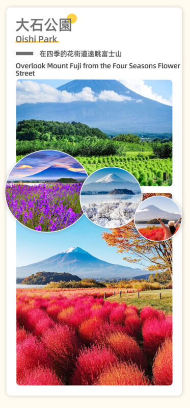 One-day tour of Fuji Safari Park, Oshino Hakkai, and Oishi Park - Who should book this Fuji day trip?