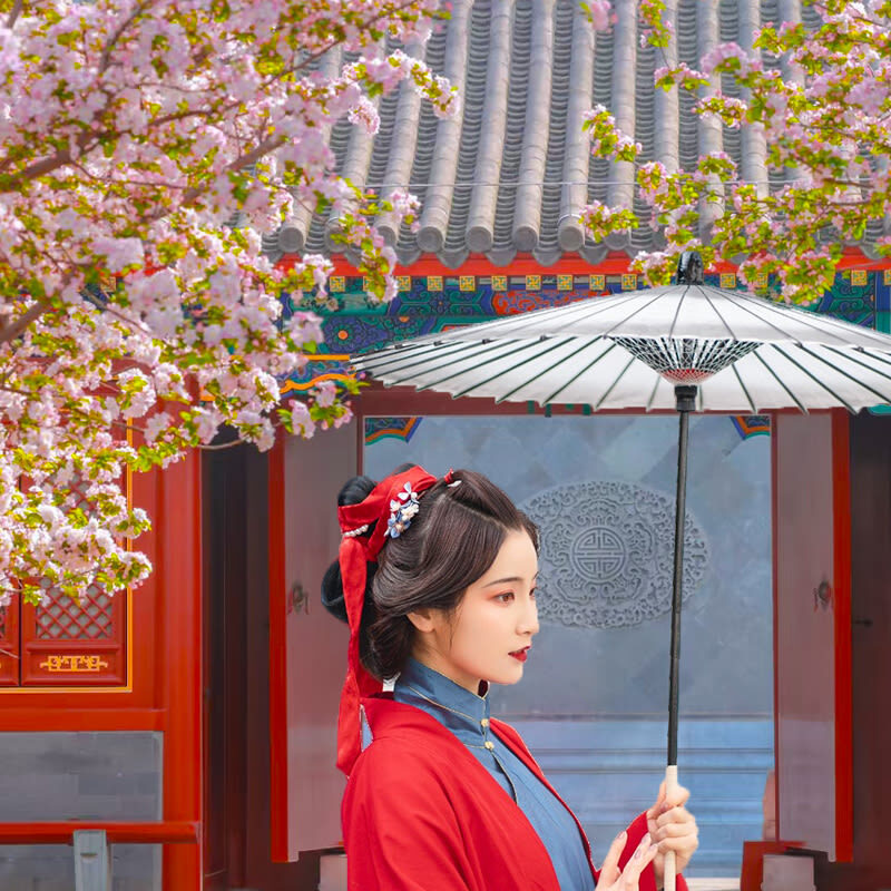 One-day tour of Prince Gongs Mansion in Beijing (2.5-hour detailed explanation upon entry + wireless headset) - What the guide and headset add