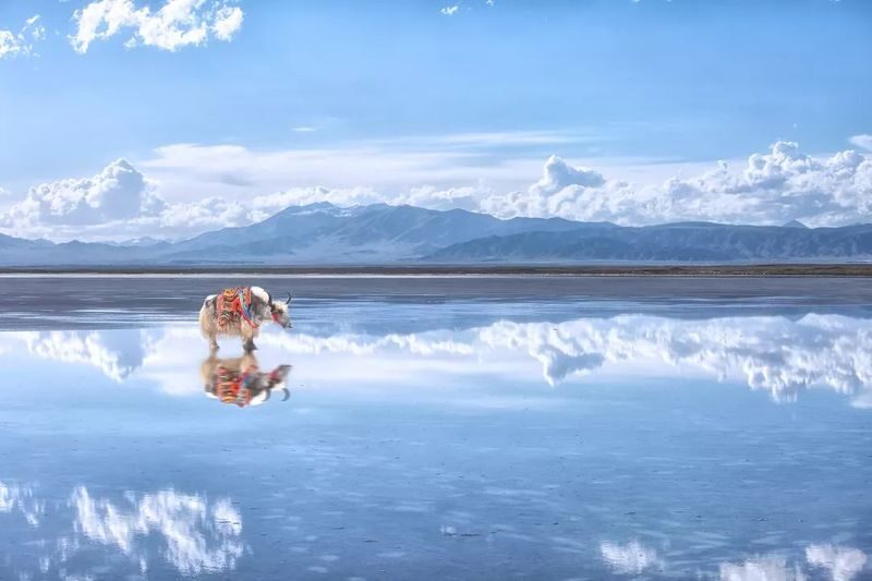 One-day tour of Qinghai Lake, Chaka Salt Lake, and Riyue Mountain in Xining - Chaka Salt Lake: allow time for the mirror
