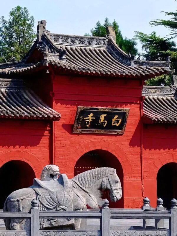 One-Day Tour of Shaolin Temple and White Horse Temple in Luoyang - Transport and the realities of a full day