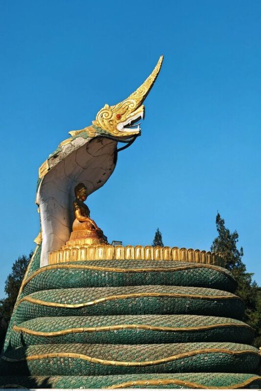 One-Day Tour of Shaolin Temple and White Horse Temple in Luoyang - Should you book it?