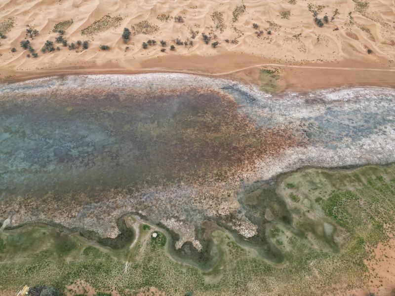 One-day tour of Tengger Desert in Yinchuan, Ningxia - From Yinchuan to the edge of the sand