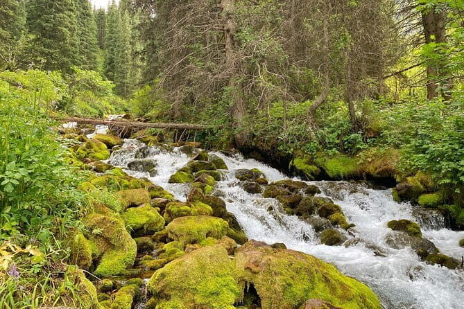 One Day Tour of the Magical Lake of Kol Tor - Who Is This Tour Best For?