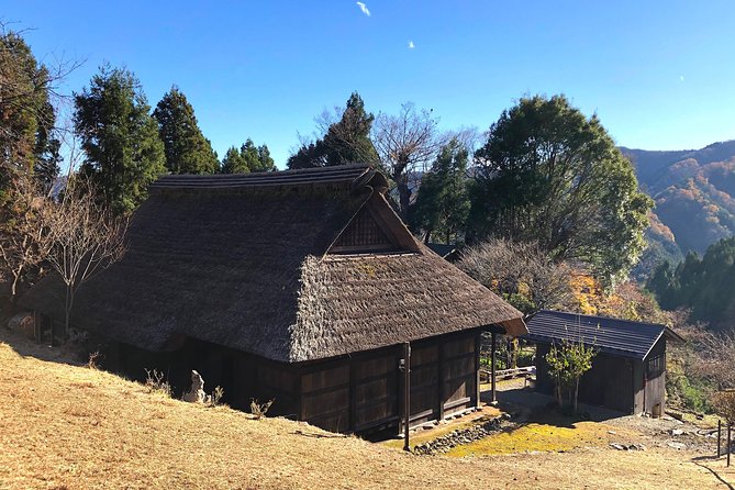 One Day Tour of Tokyos Plentiful Nature in Hinohara Village - Trekking Through Hinohara Villages Trails