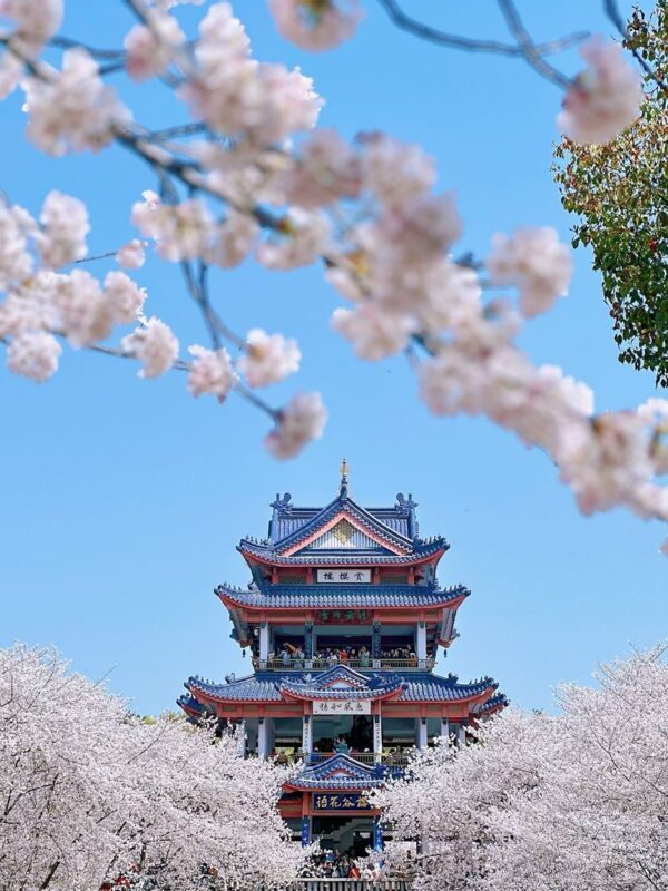 One-day tour of Wuxi Lingshan Grand Buddha +Yuantouzhu Scenic Area - Two Wuxi routes, and one itinerary worth checking