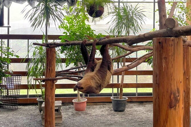 One Day Tour of Yilan, Zhang Mei Ama Farm - Final Thoughts: Who Should Consider This Tour?