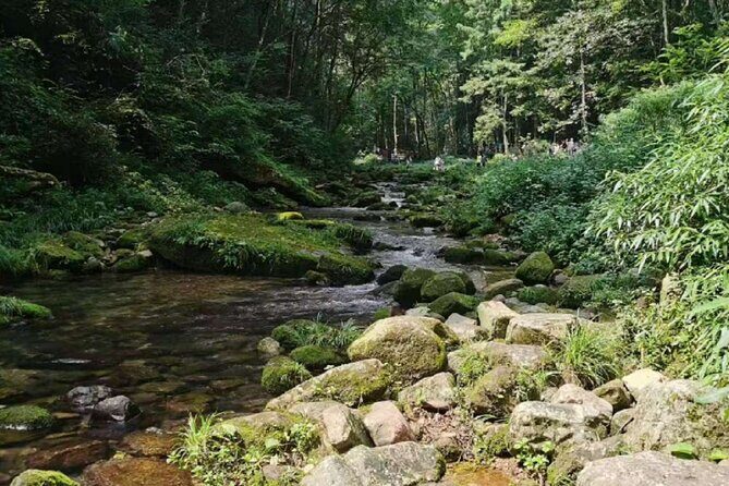 One day tour of Zhangjiajie National Forest Park - Exploring Zhangjiajie National Forest Park in a Day: An Honest Review