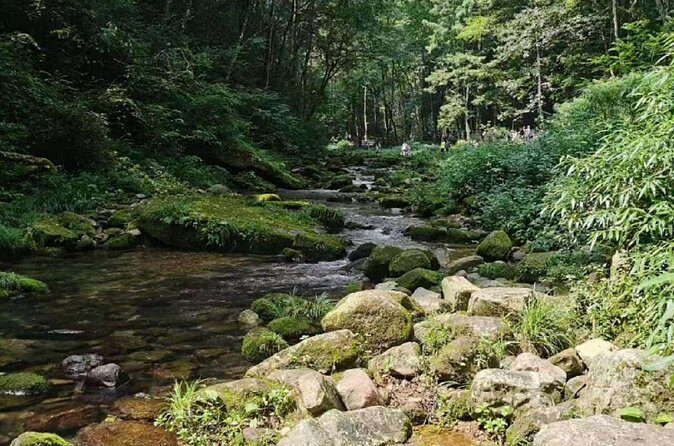 One day tour of Zhangjiajie National Forest Park - FAQ