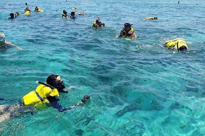 One Day Tour Pink Beach East Lombok Excursion - Whats Included and Whats Not