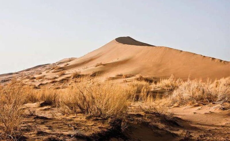 One Day Tour to Altyn-Emel: Singing Dune and Aktau Mountain - Exploring the Natural Wonders of Altyn-Emel