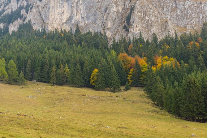 One Day Tour to Bran Castle and Hiking in Piatra Craiului National Park - Important Information for Participants