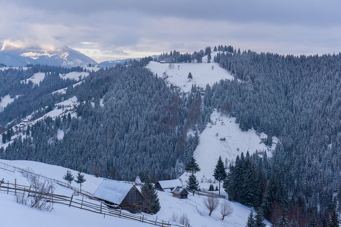 One Day Tour to Bran Castle and Hiking in Piatra Craiului National Park - Frequently Asked Questions