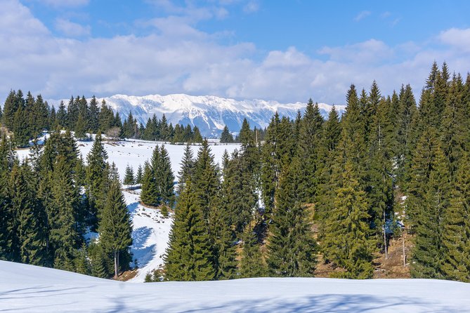 One Day Tour to Bran Castle and Hiking in Piatra Craiului National Park - The Sum Up
