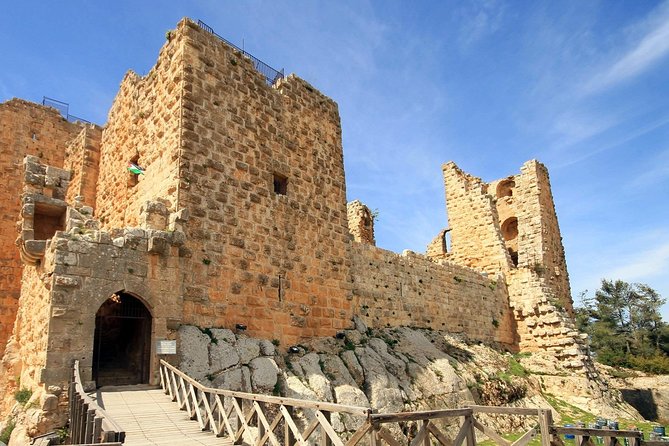 One Day Tour to Jerash and Ajloun Castle From Dead Sea - Highlights