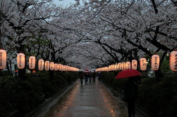 One-Day Tour to Kamakura & Yokohama With English Driver - Tour Highlights