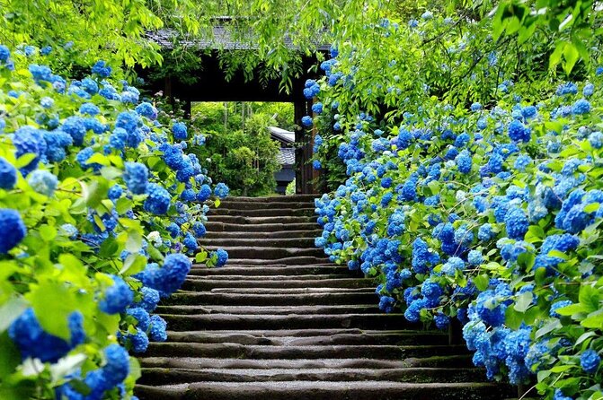 One-Day Tour to Kamakura & Yokohama With English Driver - Itinerary Overview