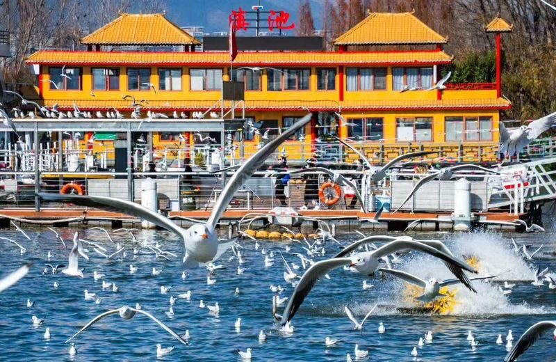 One-Day Tour to Kunming Western Hills and Yunnan Nationalities Village - Who should choose this day tour?
